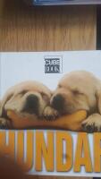Hundar  Cube Book