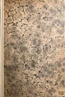 Lapplands resa &aring;r 1732