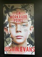 En m&ouml;rkr&auml;dd pojke