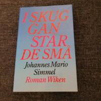 I skuggan st&aring;r de sm&aring; : [roman]
