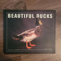 Beautiful ducks