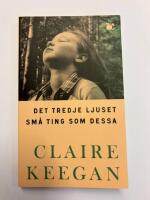 Det tredje ljuset ; Sm&aring; ting som dessa