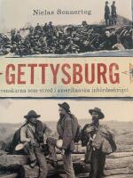 Gettysburg - Svenskarna som stred i amerikanska inb&ouml;rdeskriget