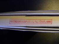 Barnflickan i Knutby : dramadokument&auml;r