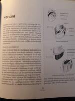 Islandsh&auml;star : sk&ouml;tsel, h&auml;lsa, g&aring;ngart