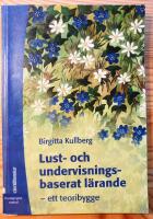 Lust- och undervisningsbaserat l&auml;rande - ett teoribygge