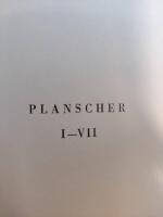 VILDA V&Auml;XTER I NORDEN - BAND 1