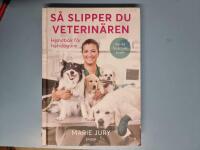 S&aring; slipper du veterin&auml;ren : Handbok f&ouml;r hund&auml;gare