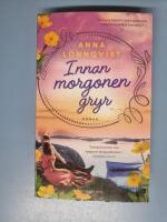 Innan morgonen gryr