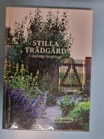 Stilla tr&auml;dg&aring;rd i stormigt landskap