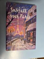 Sn&ouml;fall &ouml;ver Paris