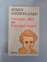 Antingen - eller : och Begreppet &aring;ngest