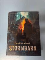Stormbarn