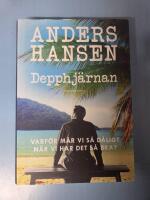 Depphj&auml;rnan : varf&ouml;r m&aring;r vi s&aring; d&aring;ligt n&auml;r vi har det s&aring; bra?