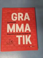 Grammatik och piraten som jagade m&aring;s