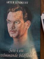 Sett i ett str&ouml;mmande bildfl&ouml;de : filmess&auml;er