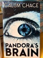 Pandora's Brain