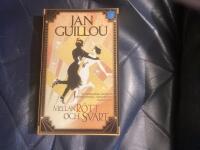 Mellan r&ouml;tt och svart