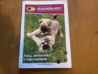 Buhundsbladet 2/2010