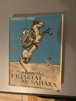 Str&ouml;vt&aring;g i hj&auml;rtat av Sahara