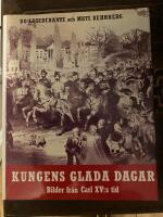 Kungens glada dagar : bilder fr&aring;n Carl XV:s tid