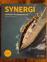 Synergi - ledarskap och organisation