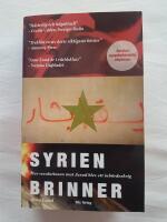 Syrien brinner : hur revolutionen mot Assad blev ett inb&ouml;rdeskrig