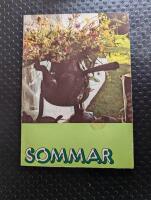 Sommar 1973