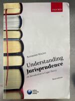 Understanding jurisprudence - an introduction to legal theory