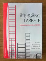 Återgång i arbete - Processer, bedömningar, åtgärder