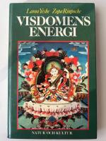 Visdomens energi