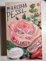 Special topics in calamity physics