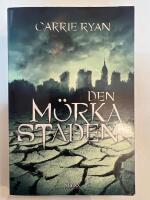 Den m&ouml;rka staden