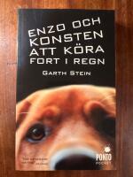 Enzo och konsten att k&ouml;ra fort i regn