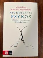 Att insjukna i psykos : f&ouml;rlopp, behandling, &aring;terh&auml;mtning