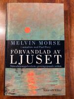 F&ouml;rvandlad av ljuset