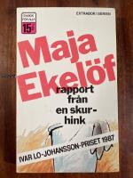 Rapport fr&aring;n en skurhink