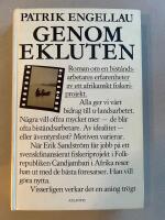 Genom ekluten : roman om en bist&aring;ndsarbetares erfarenheter av ett afrikanskt fiskeriprojekt