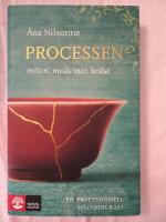 Processen : m&ouml;ten, mediciner, beslut