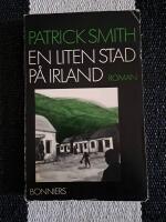 En liten stad p&aring; Irland : [roman]