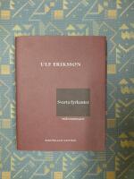 Svarta fyrkanter : mikromemoarer