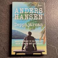 Depphj&auml;rnan : varf&ouml;r m&aring;r vi s&aring; d&aring;ligt n&auml;r vi har det s&aring; bra?