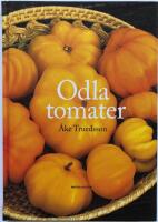 Odla tomater