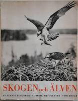 Skogen och &auml;lven