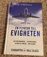 En flygtur till evigheten : en flygplanskrasch, en &ouml;verlevande, en resa till himlen - och tillbaka