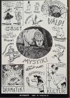 Den kvinnliga mystiken : En kortfattad guide