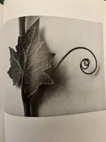Karl Blossfeldt Art forms in nature Complete edition