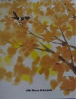 Snuff, den nyfikna bj&ouml;rnungen