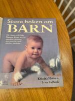 Stora boken om barn : att v&auml;nta och f&ouml;da : barnets f&ouml;rsta sex &aring;r: utveckling, utrustning, mat, s&ouml;mn, l