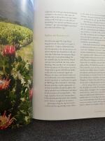 Sydafrika : ett magiskt vinland